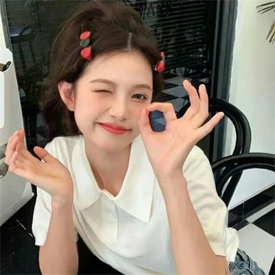 皇家国教骑士团 OVA